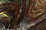Polished Tiger Iron Stromatolite - ( Billion Years) #69776-1
